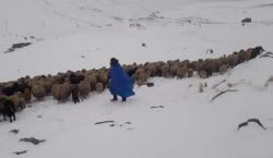 Senamhi pronostica nevadas en el altiplano de La Paz, Cochabamba y Tarija 