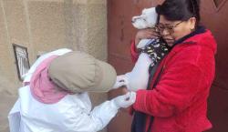 Comienza la campaña de vacunación antirrábica para gatos y perros