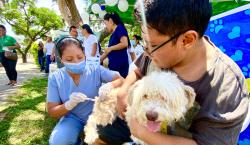 Santa Cruz lidera la vacunación contra la rabia canina con más de 542 mil mascotas inmunizadas