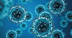 Ministra de Salud informa sobre dos nuevos casos por influenza de la variante K en Bolivia