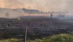 Incendios devastadores en el sureste de Australia impactan comunidades y naturaleza