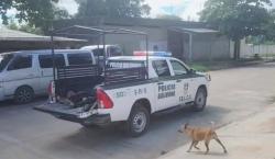 Tragedia en Puerto Quijarro: fallecen 12 personas al estrellarse un minibús contra un árbol