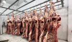 Ganaderos temen pérdida de contratos de exportación, productores de verduras saturan el Abasto 