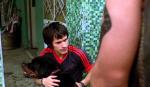 Harán una serie de televisión sobre Amores perros