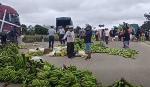 Bananeros del trópico desechan cargamentos de exportación por bloqueos y denuncian pérdidas millonarias