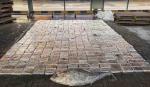 Rusia incauta 500 kilos de cocaína ocultos en atún procedente de Ecuador