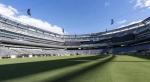 La FIFA venderá por pedazos de colección el césped de la final del Mundial 