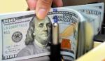 Vocero pide tomar con “naturalidad” y “calma” la fluctuación del dólar