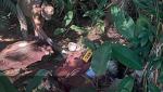 Autopsia confirma que las víctimas halladas decapitadas en Yapacaní fueron torturadas antes de morir