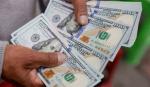 BCB fija el dólar en Bs 11,66 para este jueves y mantiene tendencia a la baja