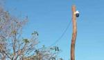 Hallan cámara de vigilancia en casa vinculada a “El Piña” en San Matías