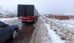 Nevadas causan daños en cultivos y afectan al ganado en 10 municipios de Cochabamba