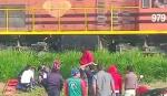 Los Lotes: una persona muere tras ser atropellada por un tren
