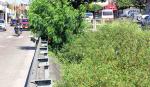 Alcaldía prepara limpieza de canales antes de la época de lluvias en Santa Cruz