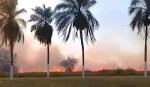 Incendio de pastizales genera alerta en inmediaciones del aeropuerto Viru Viru
