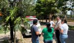 Sedes y Tránsito intensifican control de ambulancias que operan sin autorización