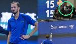 Insólito: Medvedev es descalificado tras pelotazo a un espectador y Djokovic avanza a la final