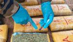 En seis días, la FELCN decomisa casi dos toneladas de marihuana y 163 kilos de cocaína