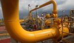 Viceministra Genuzio advierte que Bolivia podría quedarse sin gas en 2029 y tendría que importarlo