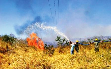 Mobile Incendio devora miles de hectáreas en San José