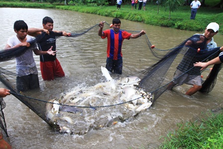 La pesca sobre la curva 2